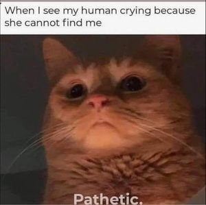 Meet your Posher, Johnny